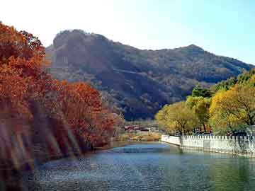 正版澳门天天开彩大全，二氧化氯发生器型号